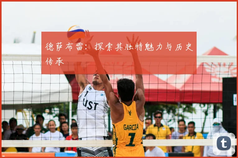 德萨布雷：探索其独特魅力与历史传承