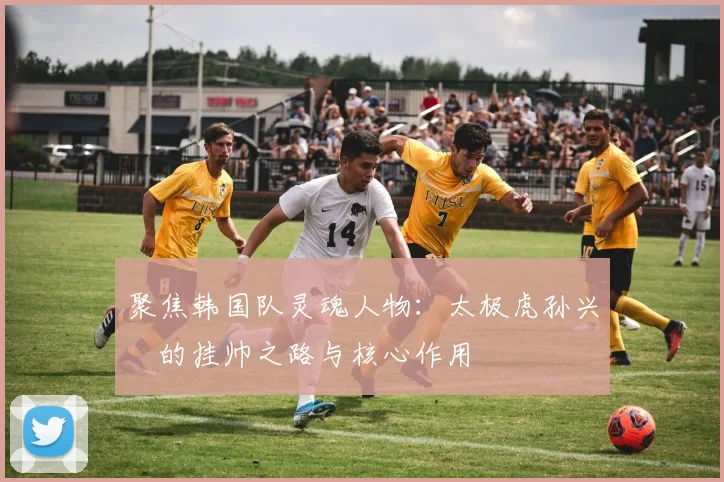 聚焦韩国队灵魂人物:太极虎孙兴慜的挂帅之路与核心作用